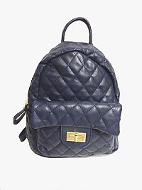 ΣΑΚΙΚΔΙΟ ΠΛΑΤΗΣ-BACKPACK ΧΡΩΜΑ ΜΠΛΕ ΚΑΠΙΤΟΝΕ